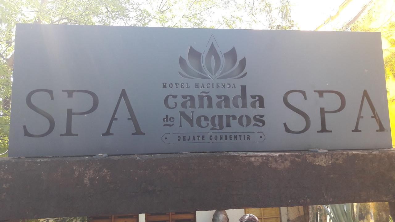 Hotel Hacienda Spa Canada De Negros Purisima de Bustos Экстерьер фото